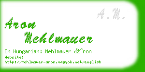 aron mehlmauer business card